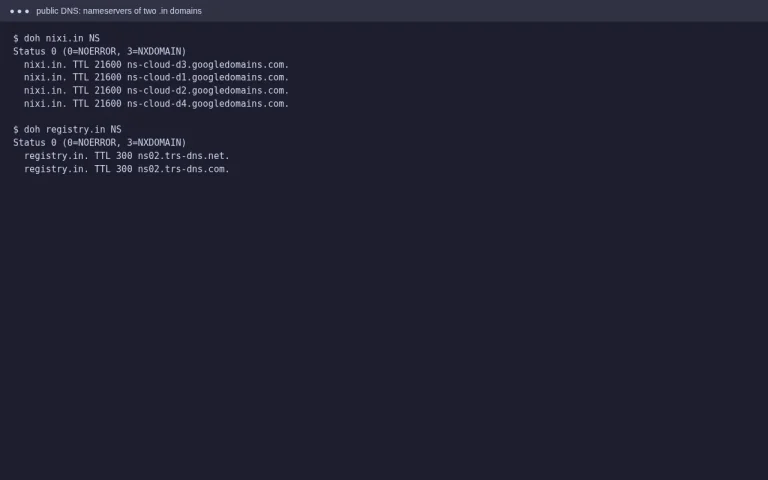 Public DNS lookup showing the nameservers and TTL for two .in domains