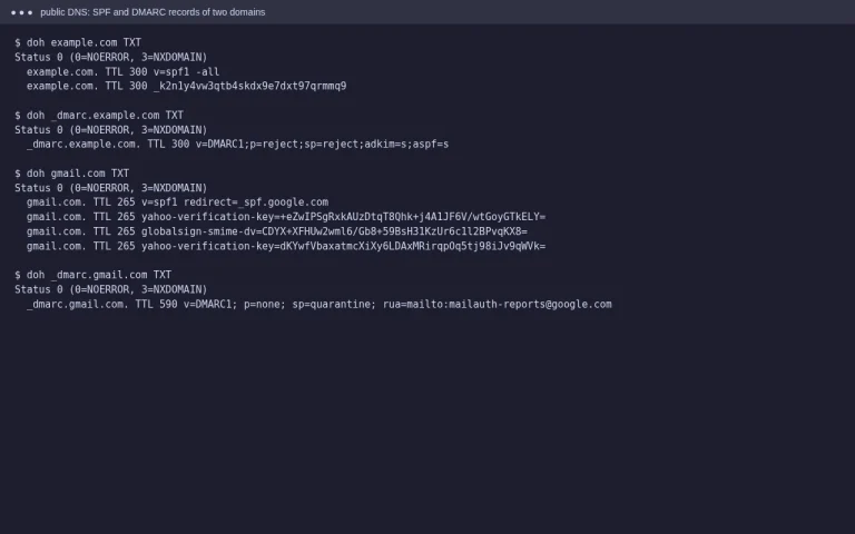 Public DNS lookups showing SPF and DMARC TXT records for example.com and gmail.com