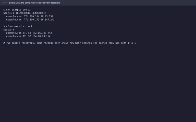 The same A record looked up at Google Public DNS and Cloudflare DNS, each showing a different remaining TTL