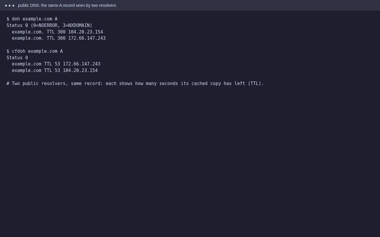 The same A record looked up at Google Public DNS and Cloudflare DNS, each showing a different remaining TTL