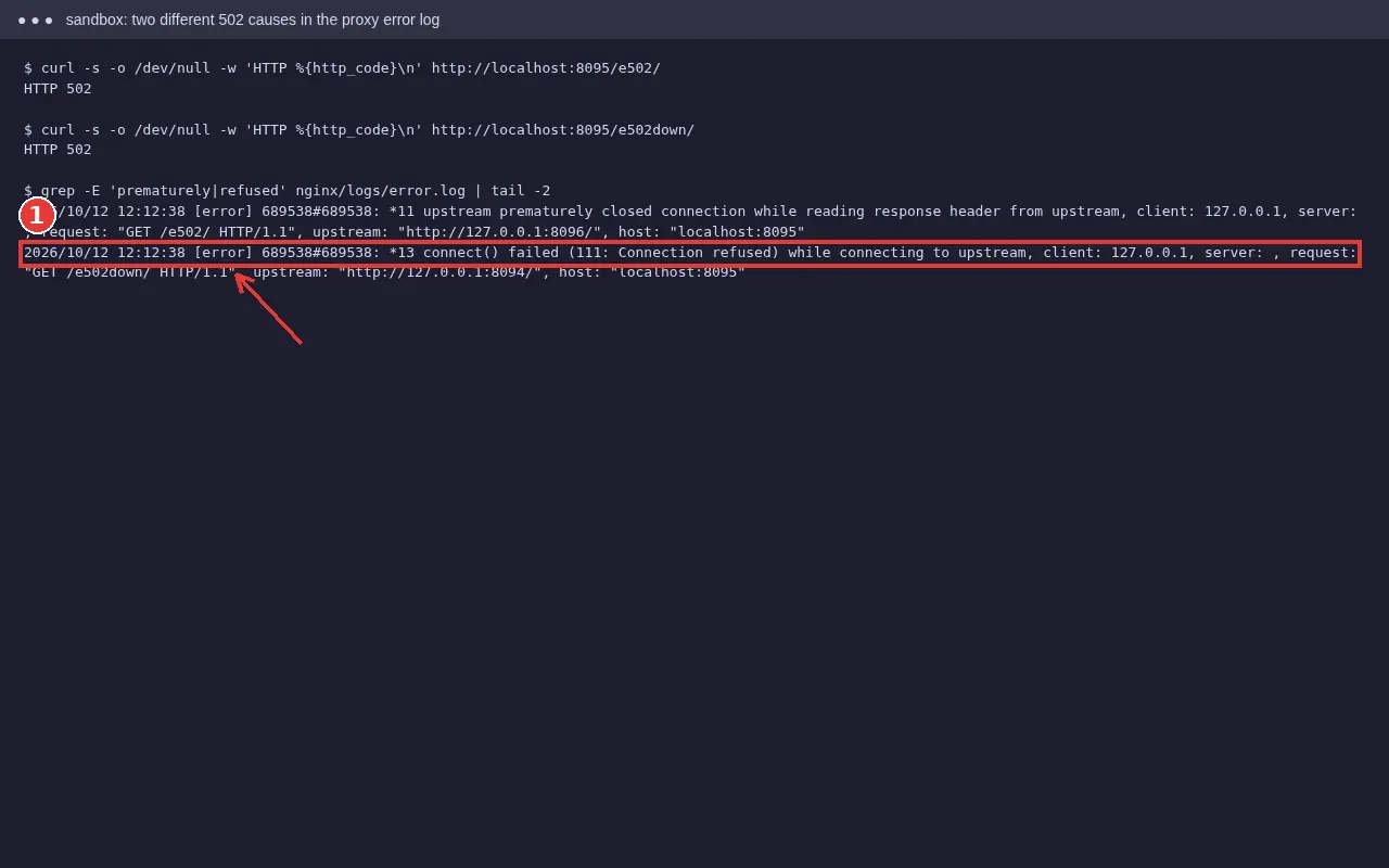 curl shows HTTP 502 twice; nginx error log shows 'upstream prematurely closed connection' and 'connect() failed (111: Connection refused)'