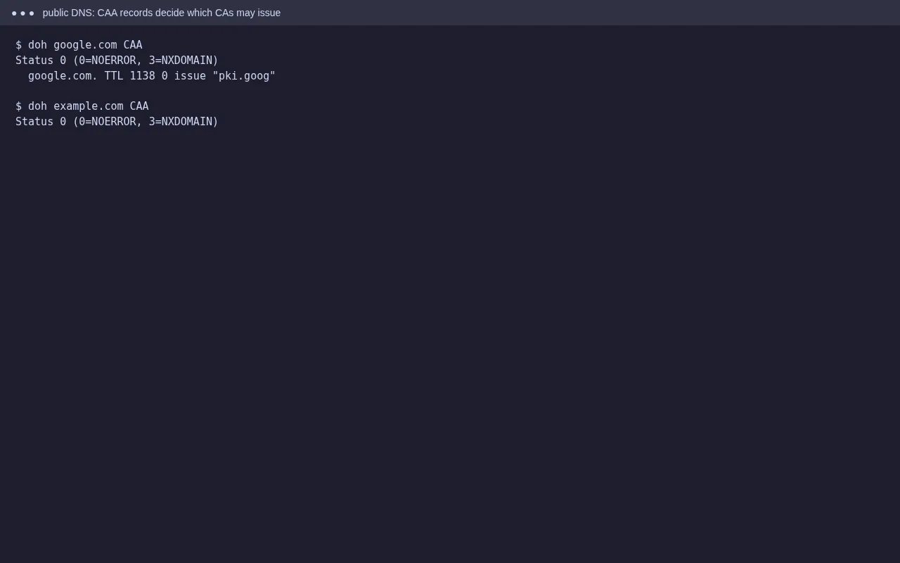 Public DNS lookup showing a CAA record that allows only pki.goog, and a domain with no CAA record