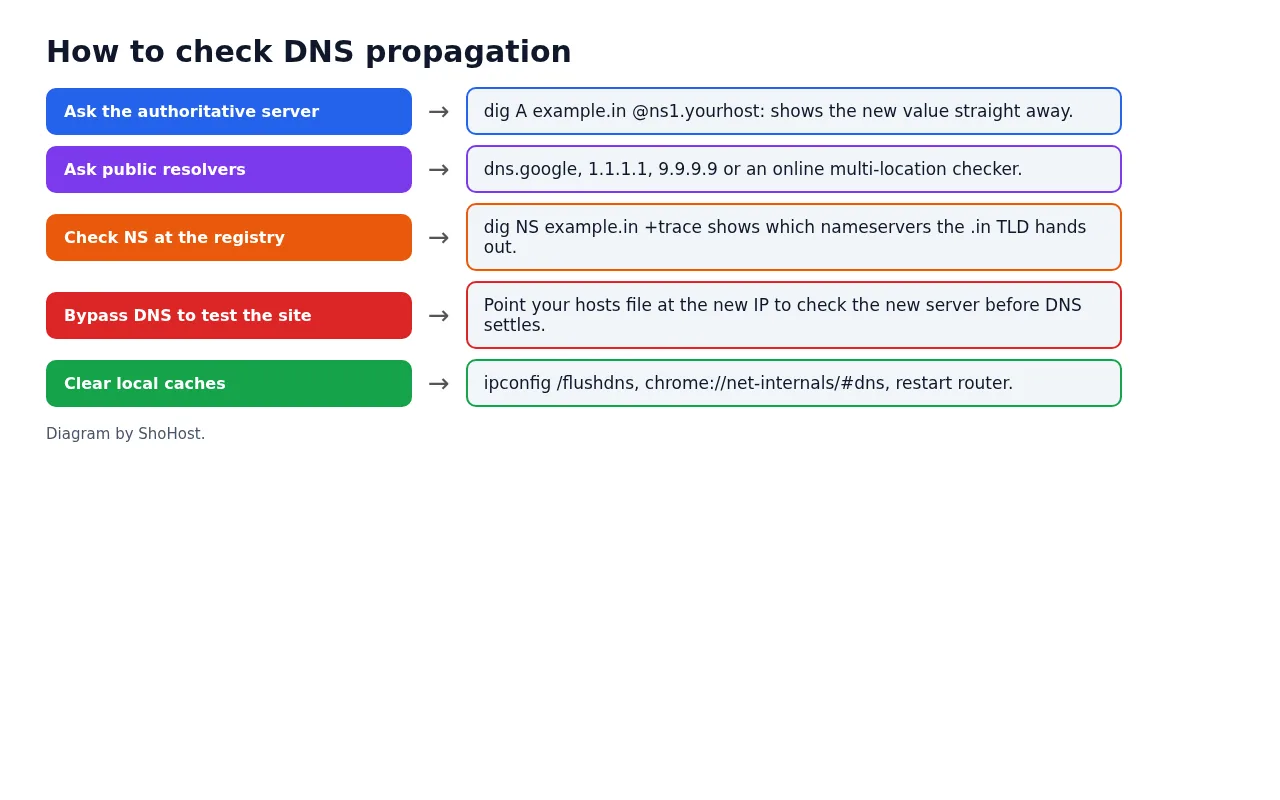 Diagram of ways to check DNS propagation: authoritative server, public resolvers, trace, hosts file, cache flush