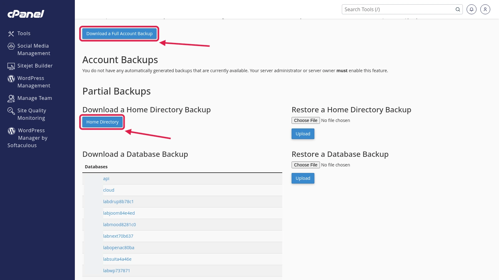 cPanel Backup Wizard download list showing a finished full backup file in backup-date tar.gz format