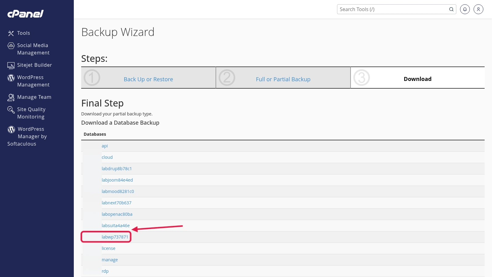cPanel Backup Wizard partial backup page listing MySQL databases with a download link for a database sql file