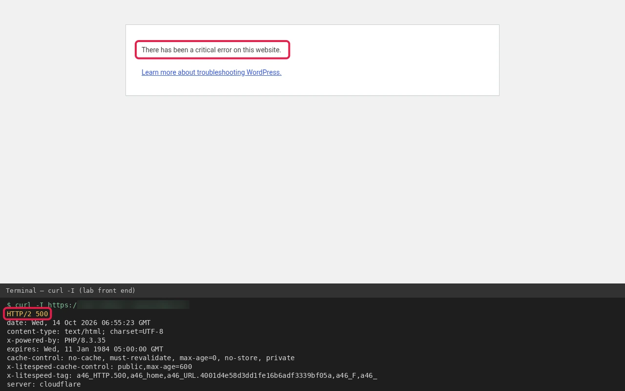 WordPress critical error page with the message boxed, above a terminal where curl -I returns HTTP/2 500, also boxed