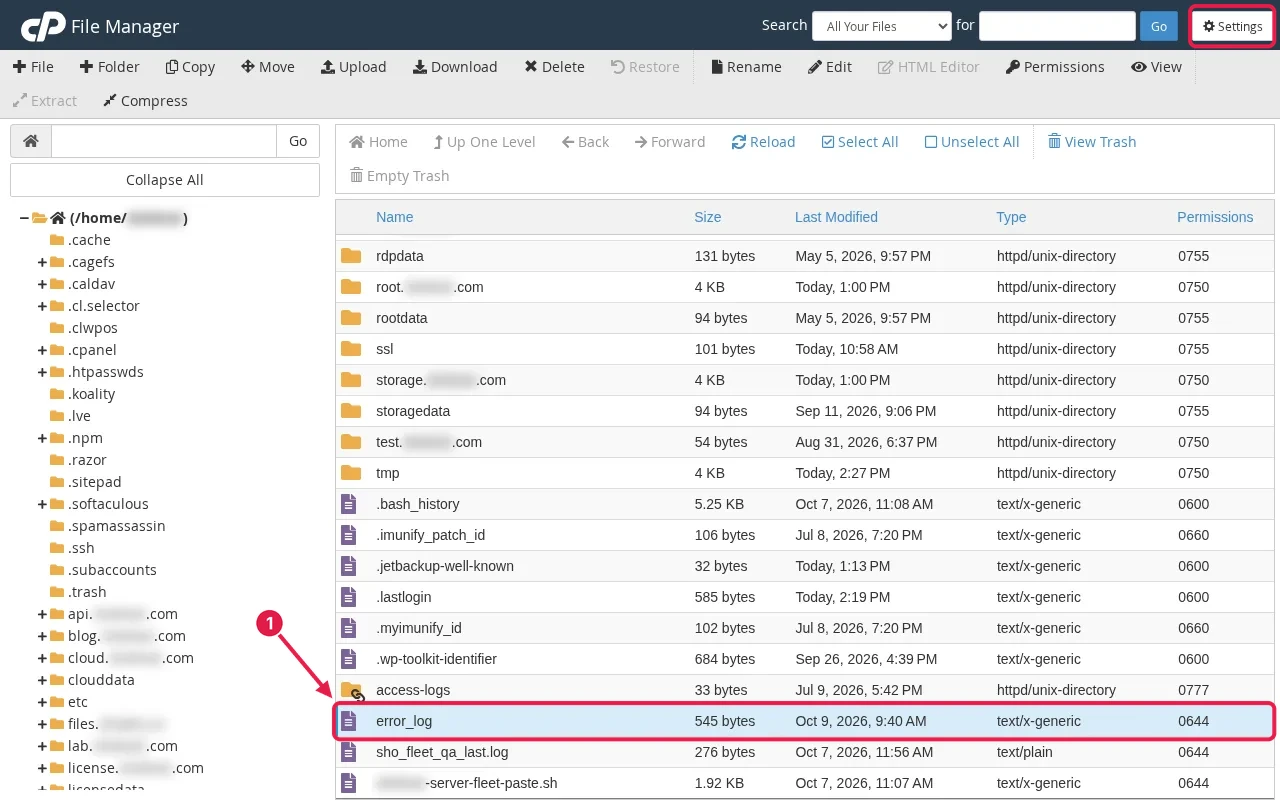 cPanel File Manager file list with the error_log file highlighted and an arrow pointing to it