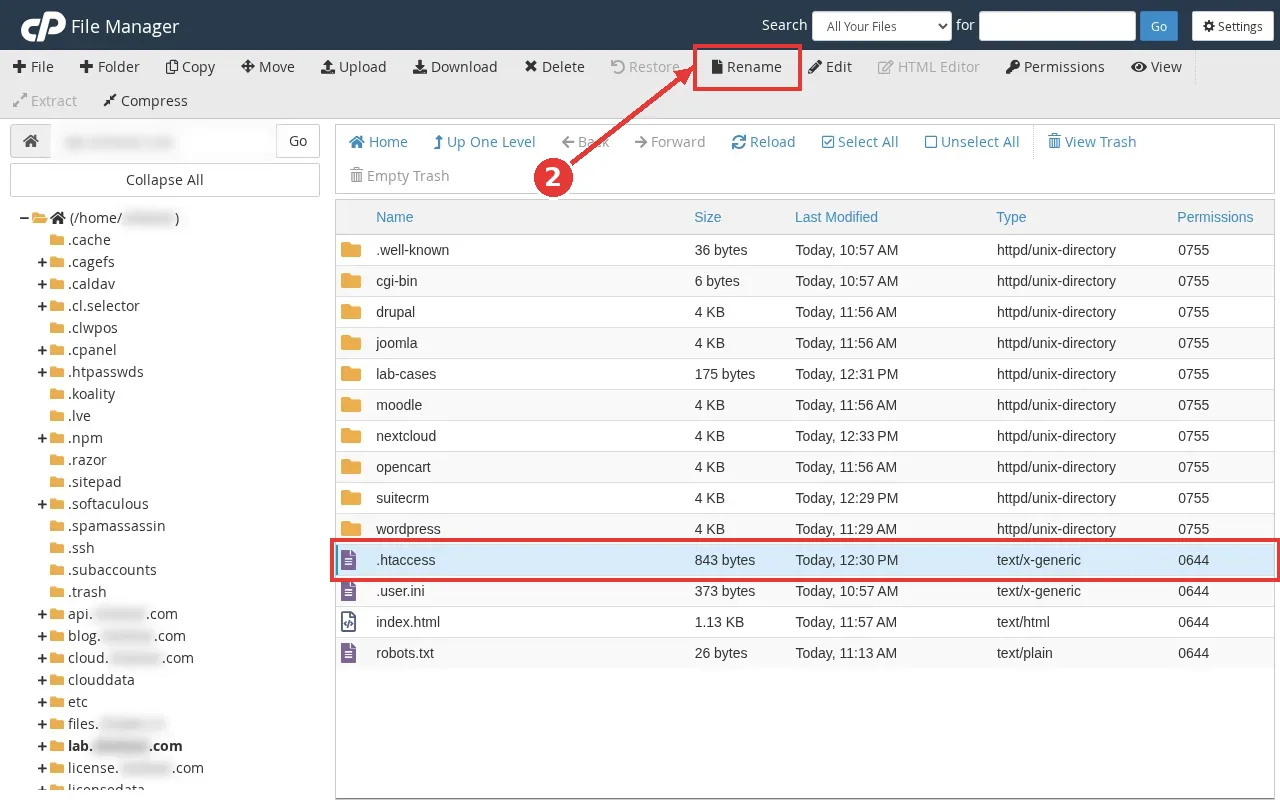 cPanel File Manager with the .htaccess file selected and an arrow to the Rename button