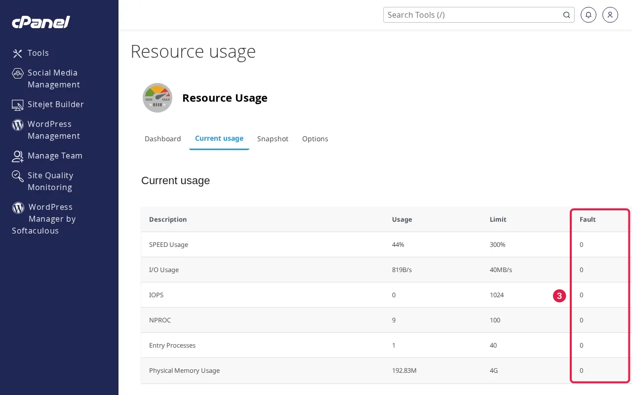 cPanel Resource Usage Current usage table with usage, limit and fault columns for SPEED, I/O, IOPS, NPROC, entry processes and memory