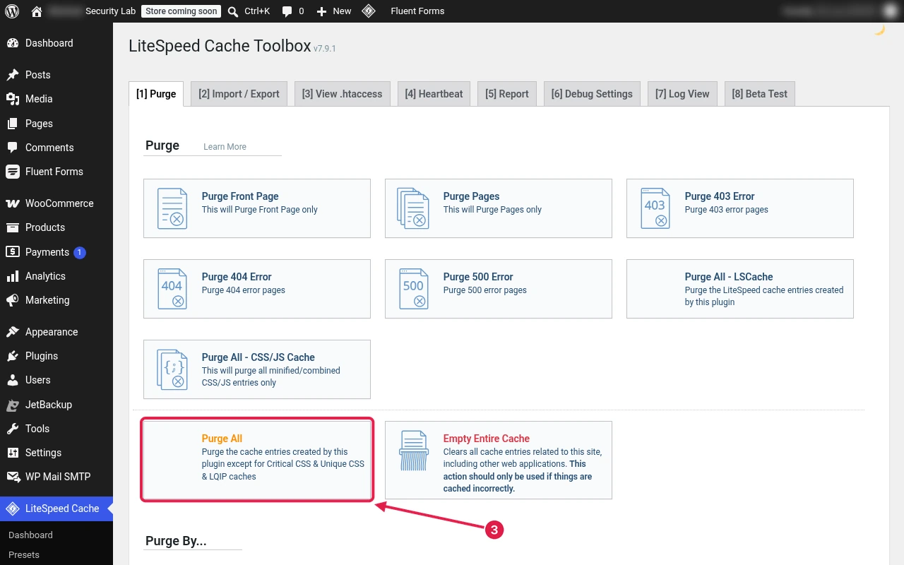 LiteSpeed Cache Toolbox Purge tab in WordPress admin with Purge All and other purge options