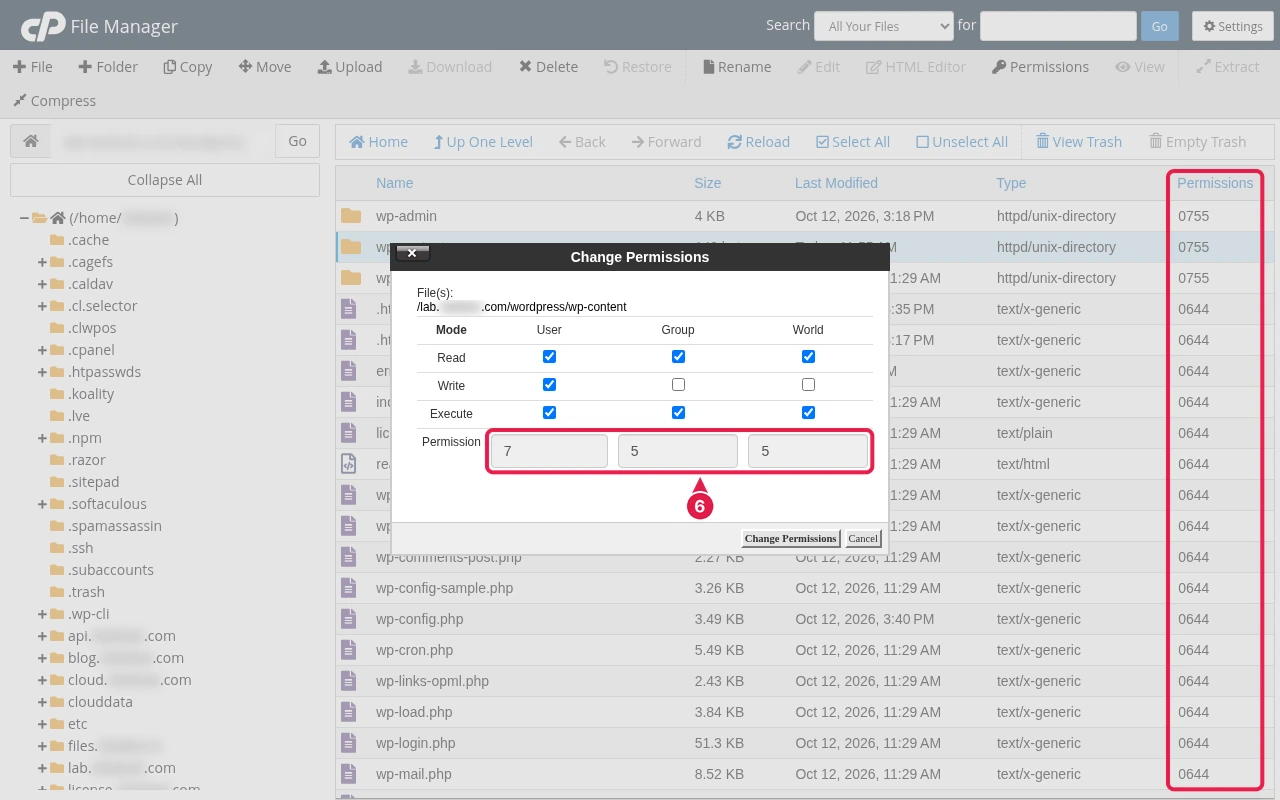 cPanel File Manager with the Permissions column boxed and the Change Permissions dialog for wp-content showing 7 5 5