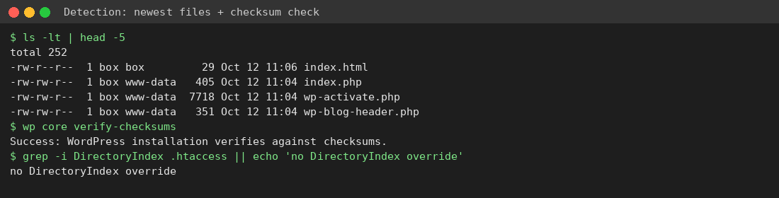Newest files listing showing an injected index.html in the WordPress root