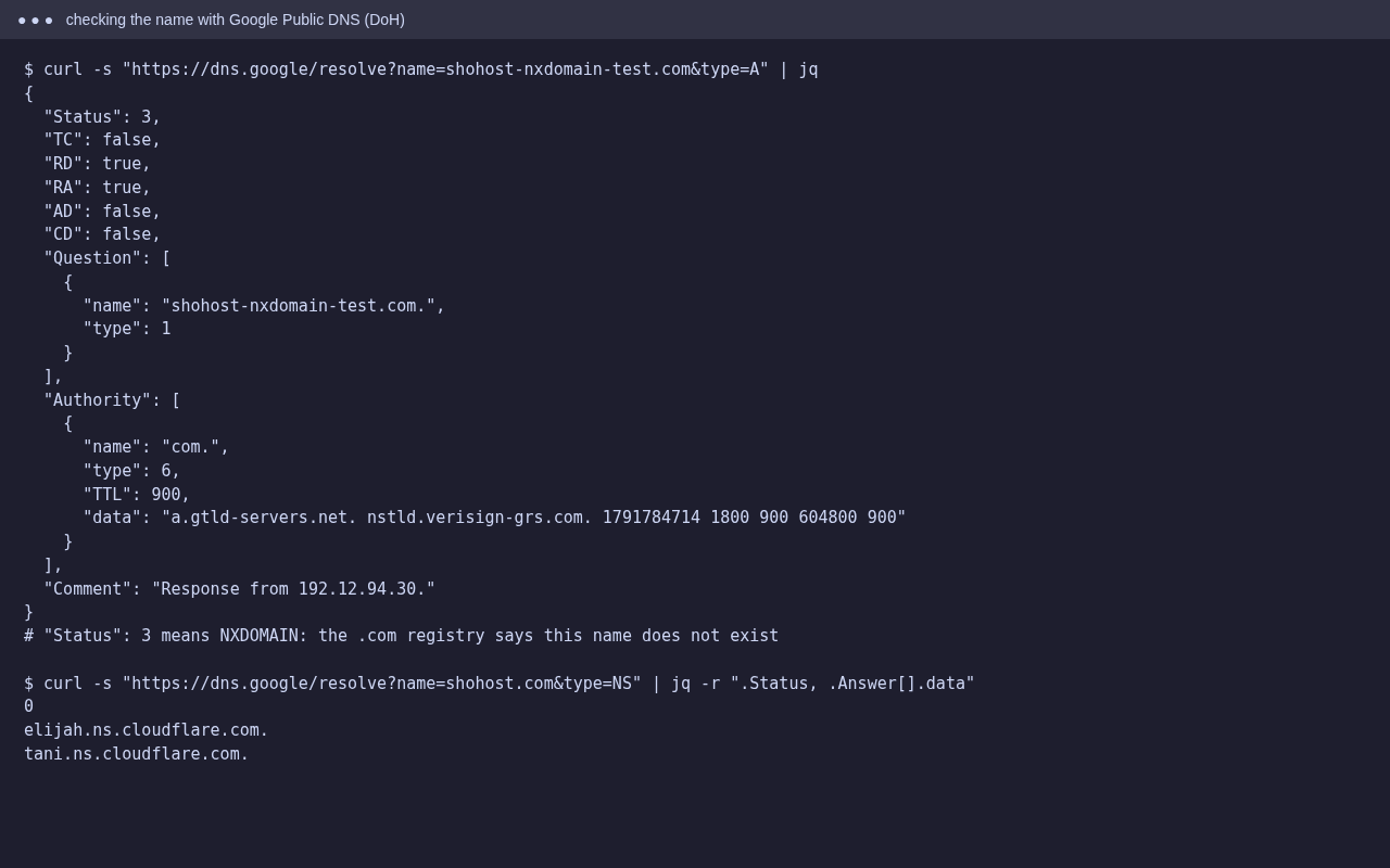Google Public DNS lookup returning Status 3 (NXDOMAIN) for a non-existent domain, and NS records for a working one