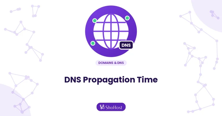 DNS Propagation: How Long It Really Takes and How to Check - ShoHost guide