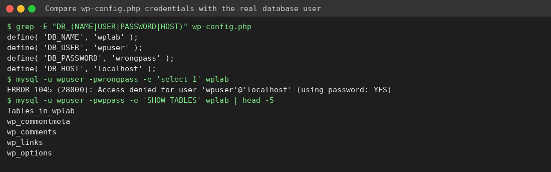 Terminal testing MySQL login with wrong and correct passwords