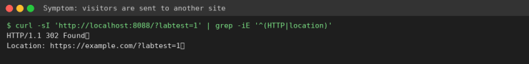 WordPress Site Redirecting to Spam Sites? How to Find and Remove Malware Redirects