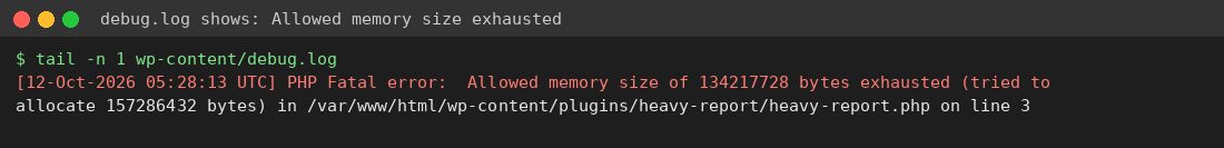 debug.log line showing PHP Fatal error Allowed memory size exhausted in a plugin