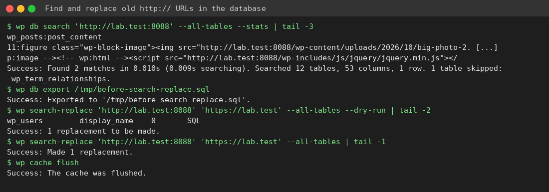 WP-CLI db search and search-replace replacing http URLs with https