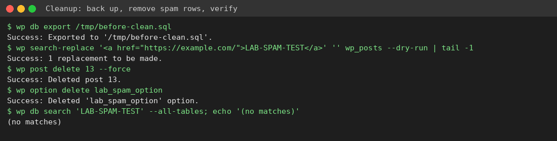Backing up and removing spam posts and options, then verifying no matches
